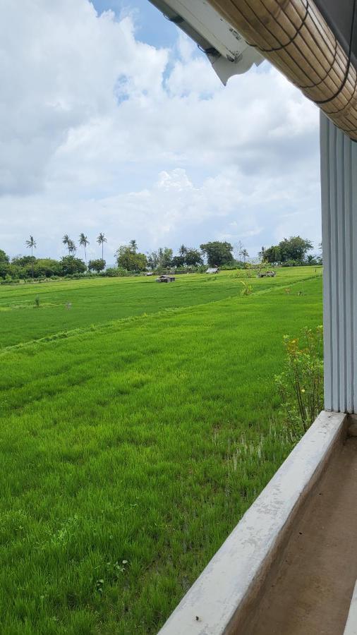 Kartika Villas Lovina Exteriér fotografie